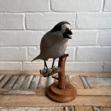 Load image into Gallery viewer, Vintage Folk Art Carved Wooden Bird on Branch Stand