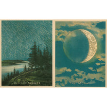 Load image into Gallery viewer, John Derian Sticker Book II