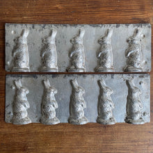 Load image into Gallery viewer, Antique Group of Five Rabbit Chocolate Mold #13 made in Germany