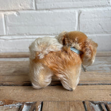 Load image into Gallery viewer, 1960s Steiff Peky Pekingese Dog - Mohair with Button in Ear - 4"