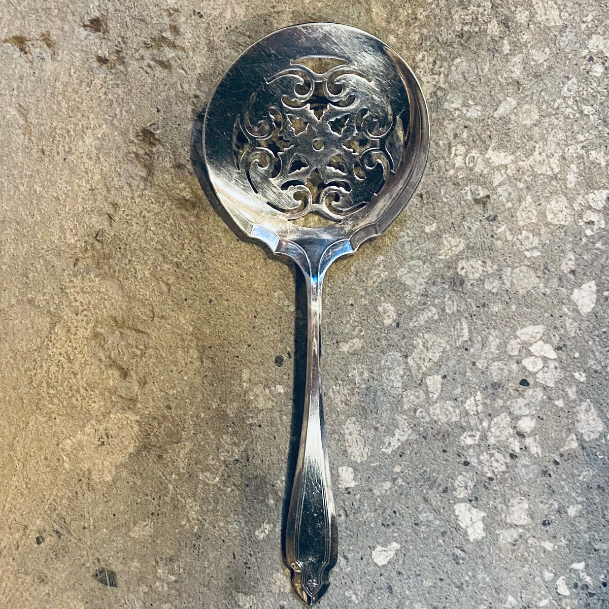 Antique Silverplated Tomato Spoon Blackbird Vintage Finds
