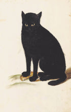Load image into Gallery viewer, Black Cat Postcard by Blackbird Vintage Finds 11 Trinity Street in Toronto Ontario Canada