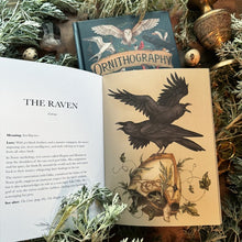 Load image into Gallery viewer, Ornithography Book by Jessica Roux