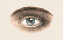 Load image into Gallery viewer, Eye Postcard by Blackbird Vintage Finds 11 Trinity Street in Toronto Ontario Canada