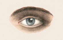 Load image into Gallery viewer, Eye Postcard by Blackbird Vintage Finds 11 Trinity Street in Toronto Ontario Canada
