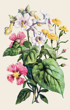 Load image into Gallery viewer, Floral Spray Postcard by Blackbird Vintage Finds 11 Trinity Street in Toronto Ontario Canada