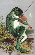 Load image into Gallery viewer, Frog Postcard by Blackbird Vintage Finds 11 Trinity Street in Toronto Ontario Canada