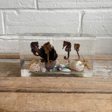 Load image into Gallery viewer, Vintage Lucite Seahorse Coastal Display Block c1970s