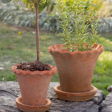 Load image into Gallery viewer, Frilly Edge Terracotta Pot with Saucer