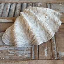 Load image into Gallery viewer, Large Natural Vintage Clam Shell
