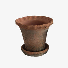 Load image into Gallery viewer, Frilly Edge Terracotta Pot with Saucer