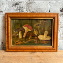 Load image into Gallery viewer, Rare Early 20th Century Mycological Oil on Canvas – Mushroom Study in Original Bird's Eye Maple Frame, circa 1930s