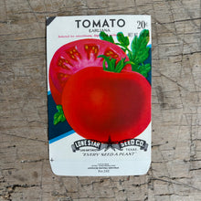 Load image into Gallery viewer, Vintage Seed Packets