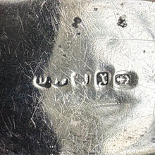 Load image into Gallery viewer, Antique English Sterling Silver Mounted Glass Flask with Lion Crest - Hallmarked
