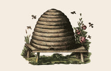 Load image into Gallery viewer, Hive Postcard by Blackbird Vintage Finds 11 Trinity Street in Toronto Ontario Canada