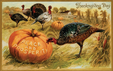 Load image into Gallery viewer, Blackbird Vintage Postcards