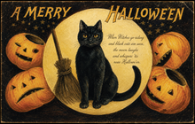 Load image into Gallery viewer, Blackbird Vintage Postcards