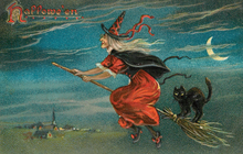 Load image into Gallery viewer, Blackbird Vintage Postcards