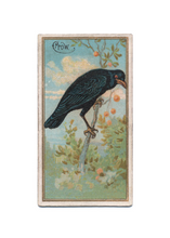 Load image into Gallery viewer, Antique Birds Greeting Cards