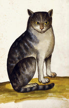 Load image into Gallery viewer, Tabby Cat Postcard by Blackbird Vintage Finds 11 Trinity Street in Toronto Ontario Canada