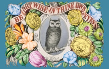 Load image into Gallery viewer, Wise Owl Postcard by Blackbird Vintage Finds 11 Trinity Street in Toronto Ontario Canada