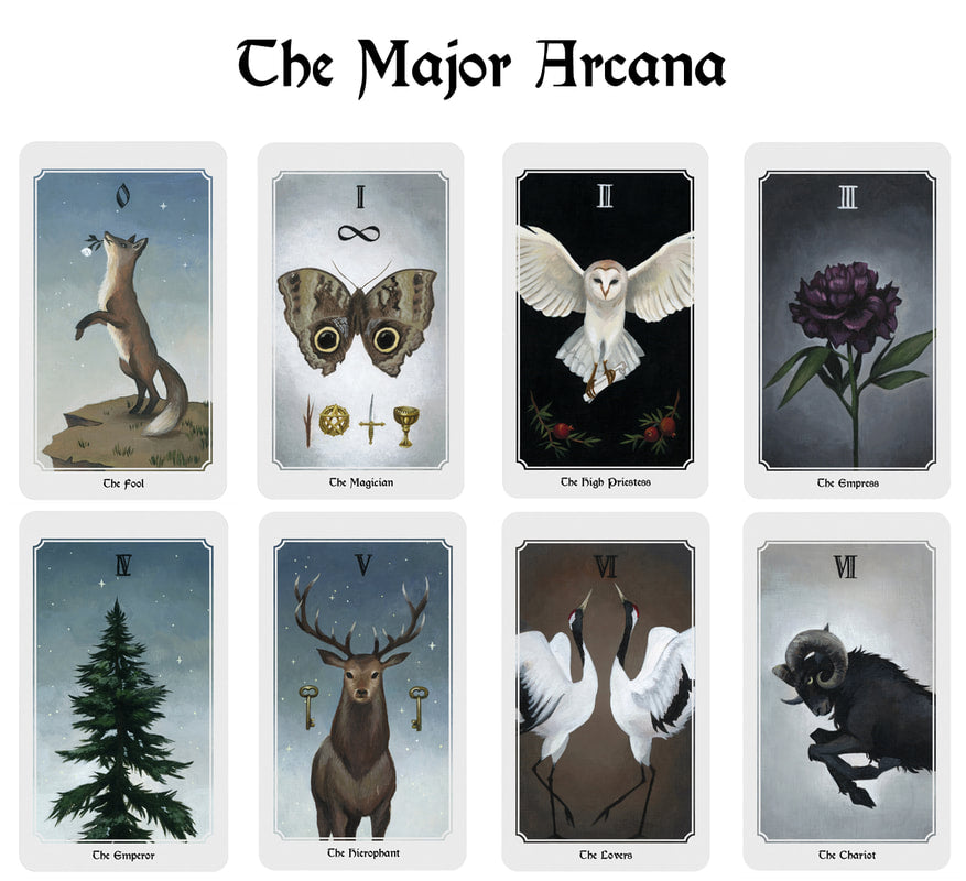 Anima Mundi Tarot Card Deck Blackbird Vintage Finds