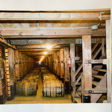 Load image into Gallery viewer, Toronto’s Distillery District Book