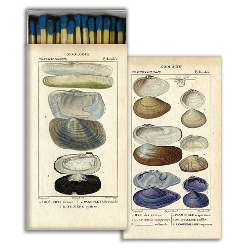 Seashell Specimens Match Box by Homart