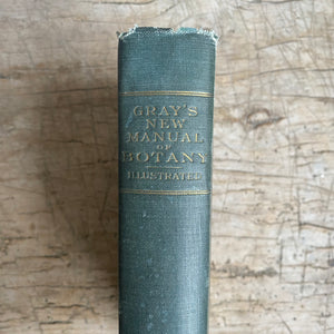 Gray’s New Manual of Botany Illustrated