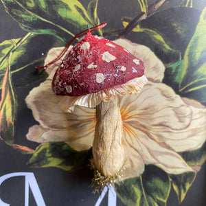Handmade Spun Cotton Mushrooms Red + Pink
