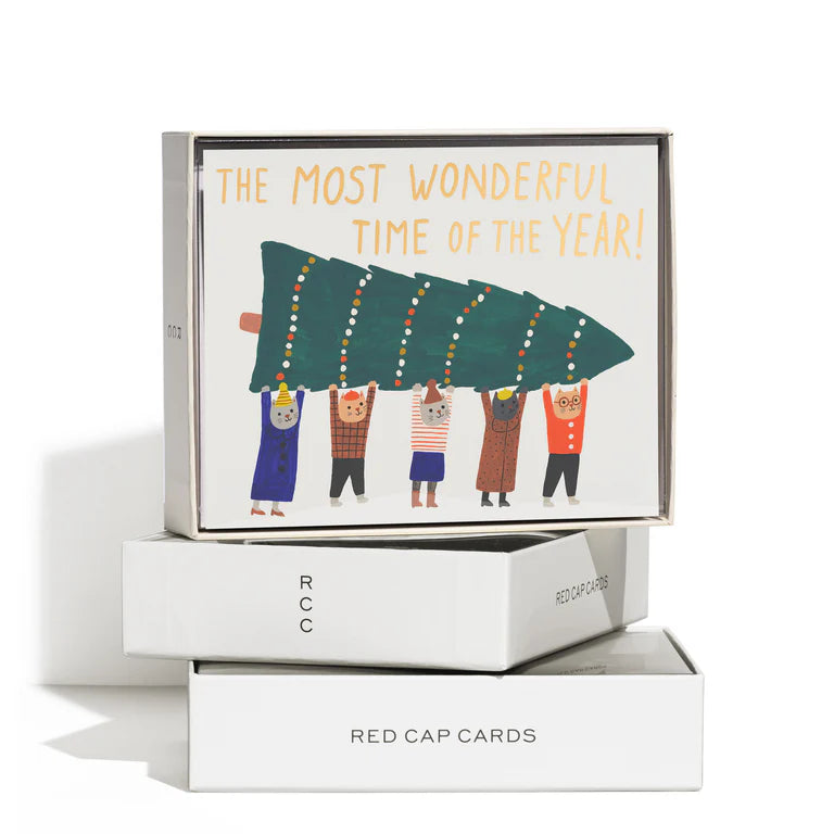 Xmas Kitties Christmas Greeting Cards Box of 8