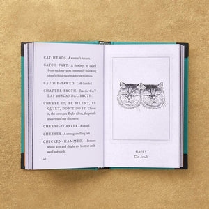 A Pocket Dictionary of the Vulgar Tongue Book