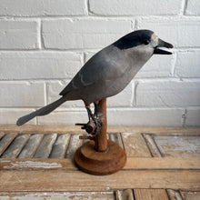 Load image into Gallery viewer, Vintage Folk Art Carved Wooden Bird on Branch Stand
