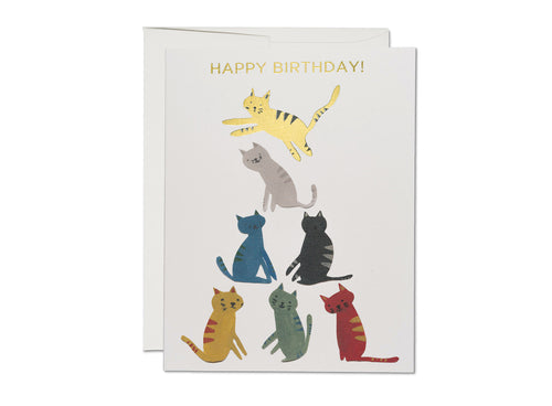 Gold Kitty Birthday Greeting Card by Blanca Gomez