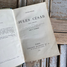 Load image into Gallery viewer, Antique French Books
