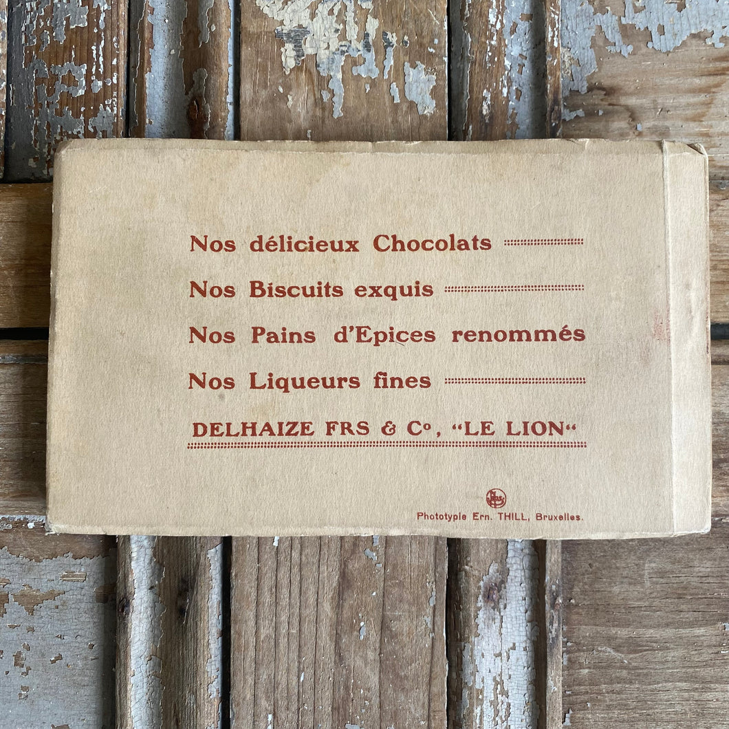 Antique Luxembourg Postcard Set/19 Booklet