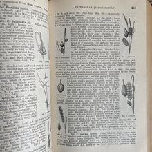 Load image into Gallery viewer, Gray’s New Manual of Botany Illustrated
