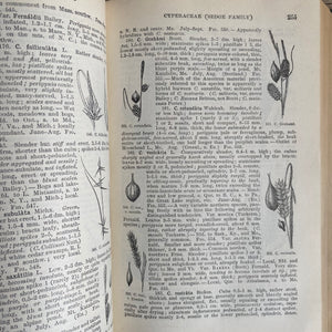 Gray’s New Manual of Botany Illustrated