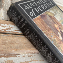 Load image into Gallery viewer, Adventures of Perrine Book by Hector Malot c1932

