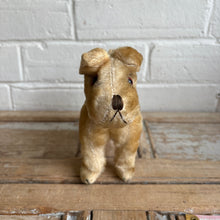 Load image into Gallery viewer, 1950s Steiff Foxy Fox Terrier Mohair Plush Dog
