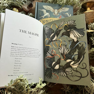 Ornithography Book by Jessica Roux