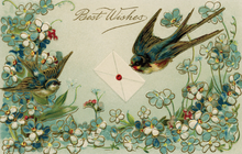 Load image into Gallery viewer, Blackbird Vintage Postcards

