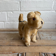 Load image into Gallery viewer, 1950s Steiff Foxy Fox Terrier Mohair Plush Dog
