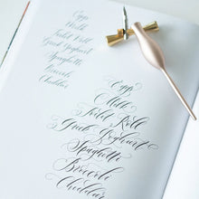 Load image into Gallery viewer, Modern Calligraphy - The Workbook - Imogen Owen
