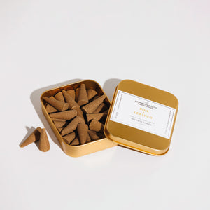 Pine + Leather Incense Cones by Commonwealth Provisions