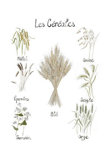 Les Cereales Tea Towel made in Canada