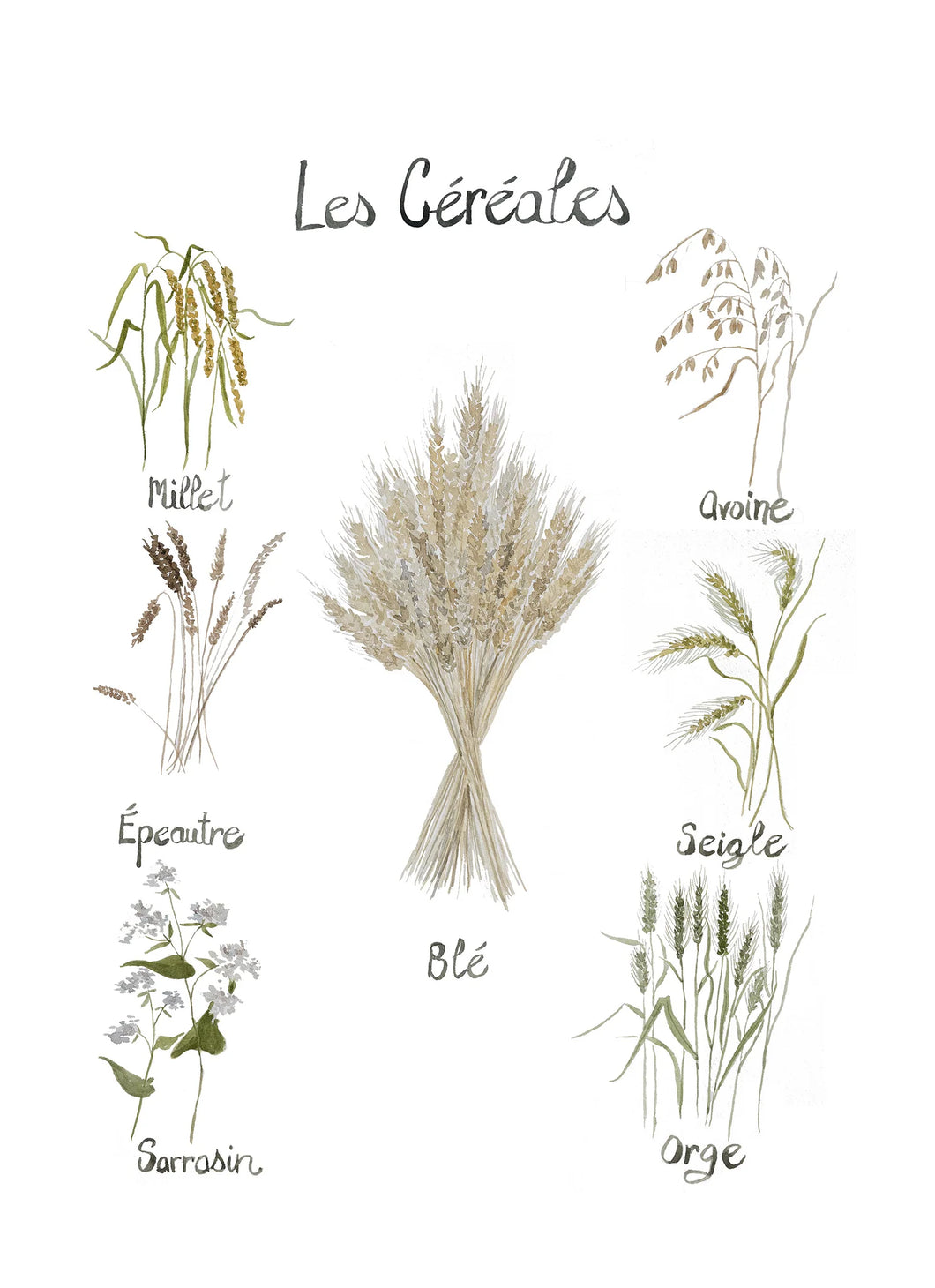 Les Cereales Tea Towel made in Canada
