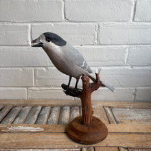 Load image into Gallery viewer, Vintage Folk Art Carved Wooden Bird on Branch Stand
