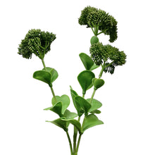 Load image into Gallery viewer, Faux Sedum Spray - Green 22”
