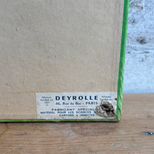 Load image into Gallery viewer, Antique Deyrolle Paris Butterfly Specimen Box - 19th C. Entomology Glass Box with Marbled Paper
